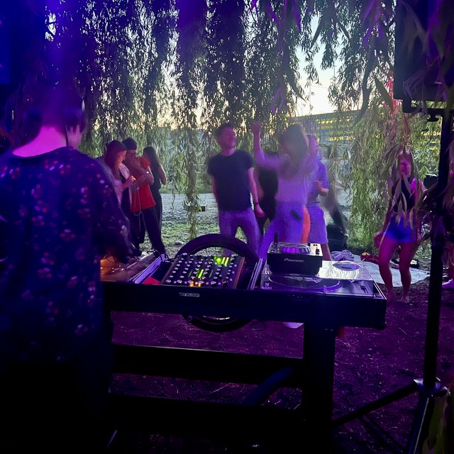 Tanzen mit DJ Shaka und Flamingo. Nomatark Solar-Stage unter der Trauerweide im Saint-Louis-Park bei Basel.