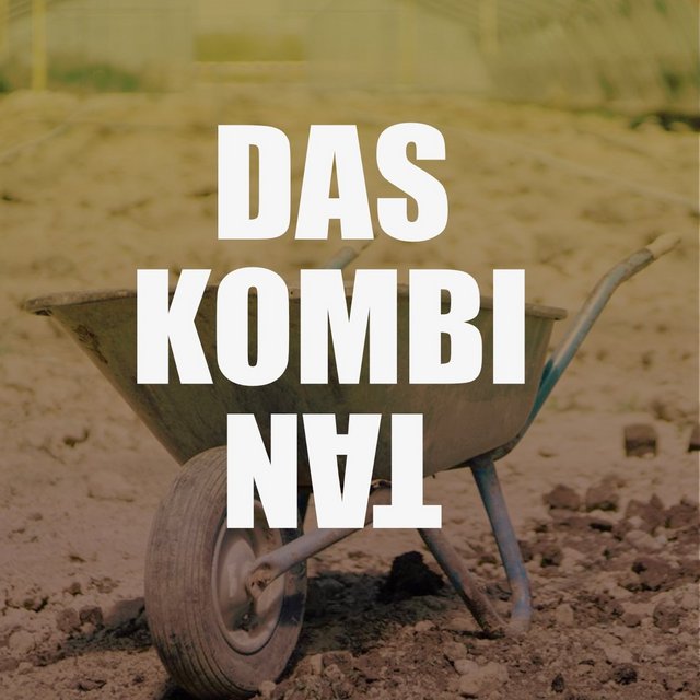 Das Kombinat