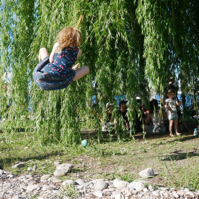 Kinder schwingen an der Trauerweide während einer Solar-Party von Nomatark.