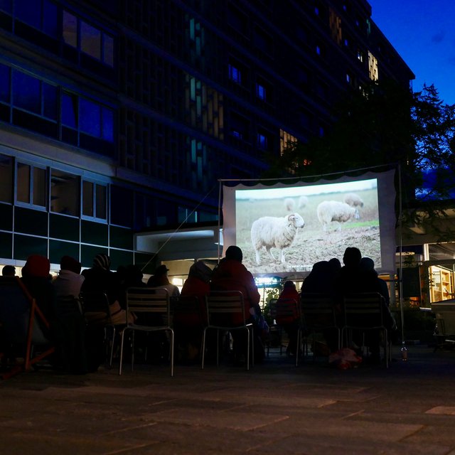 Das solarbetriebene Umweltkino Nomatark im Westfeld.