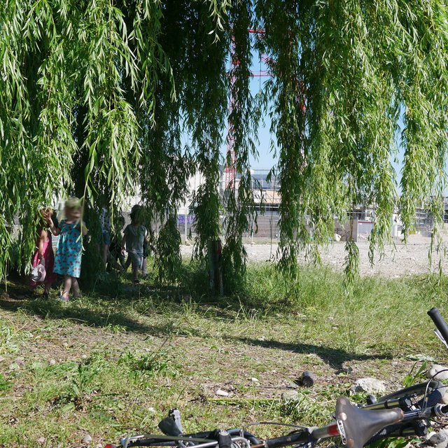 Kinder schwingen an der Trauerweide während einer Solar-Party von Nomatark.